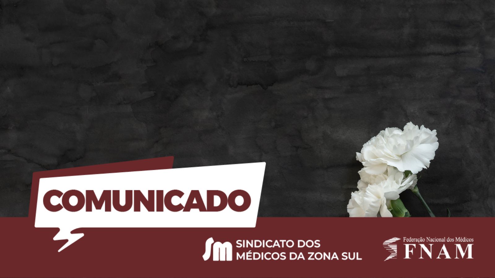 Imagem de comunicado oficial sobre fundo escuro textural. No canto inferior esquerdo, destaca-se um balão de fala branco com a palavra "COMUNICADO" em vermelho. À direita, sobressaem-se cravos brancos. Na barra inferior de cor vinho, figuram os logotipos do "Sindicato dos Médicos da Zona Sul" e da "FNAM - Federação Nacional dos Médicos".